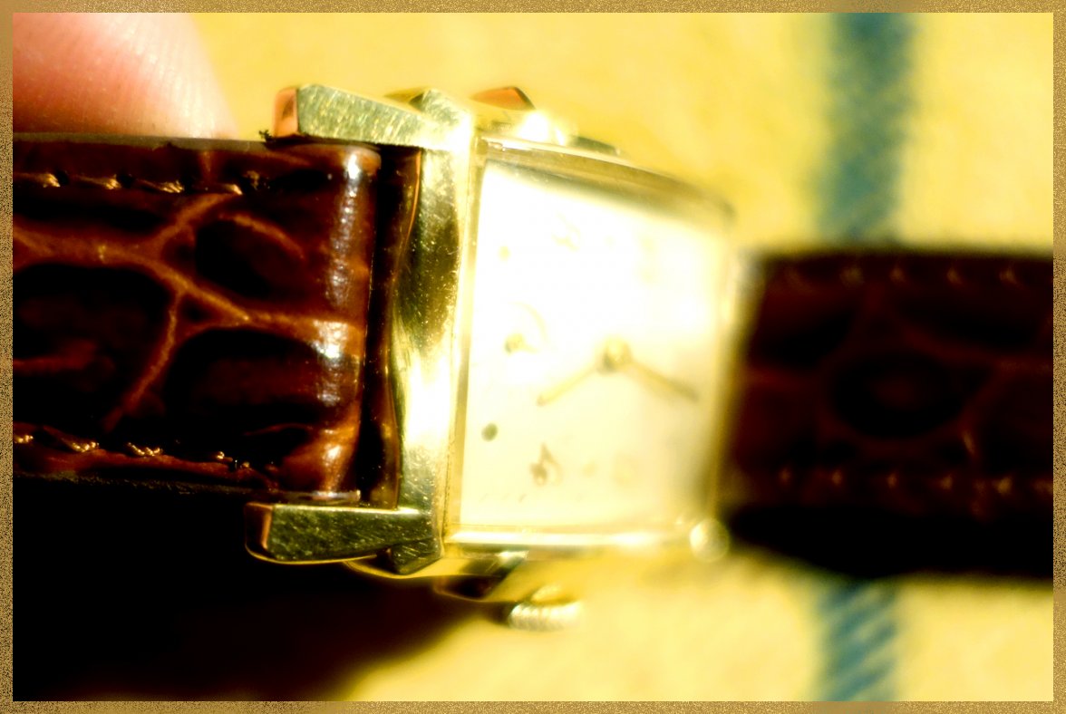 bottom.jpg bottom.jpg