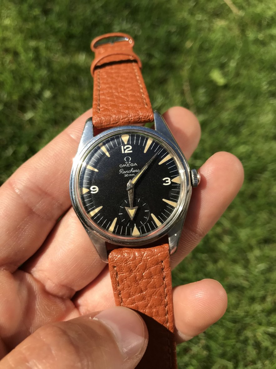 107C597D-BF03-4A58-A978-B6B91946A4B7.jpeg 107C597D-BF03-4A58-A978-B6B91946A4B7.jpeg