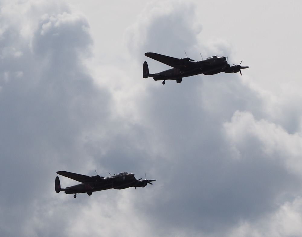 Z8240277m.JPG Z8240277m.JPG