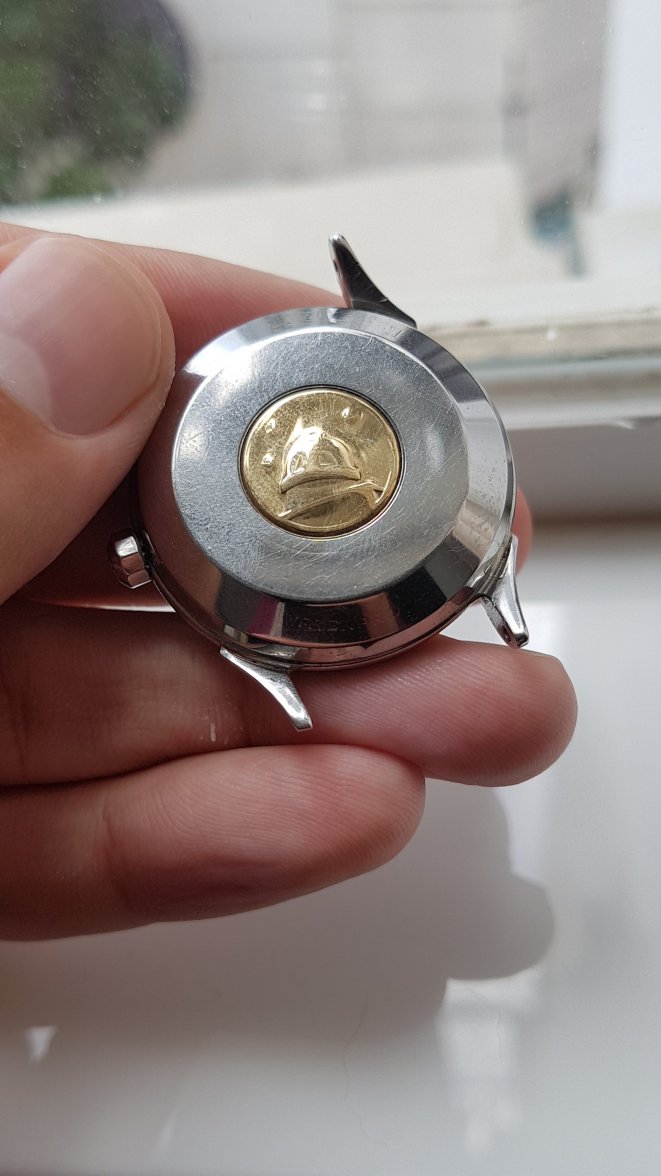 20200623_102917.jpg 20200623_102917.jpg