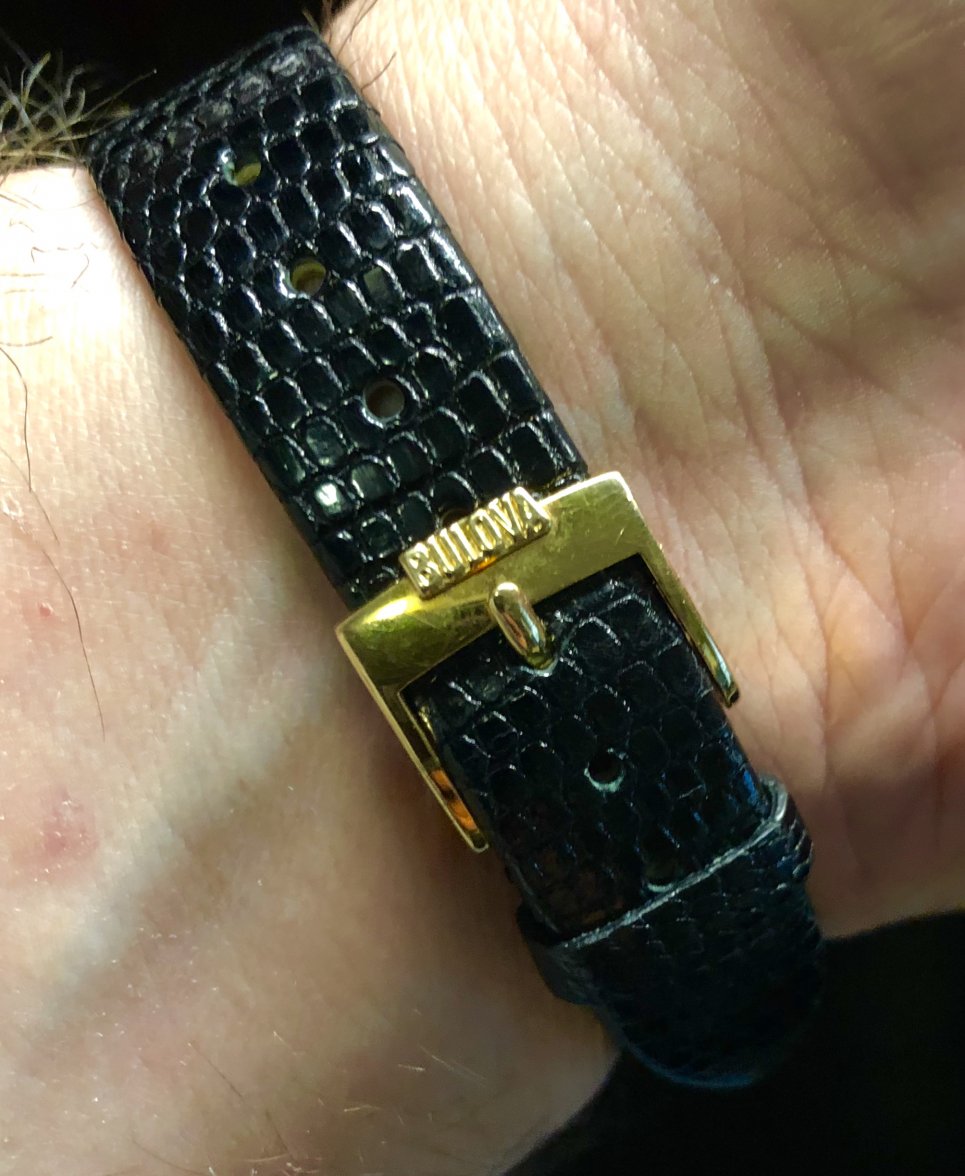 A6E1B2CC-E8E1-4D3E-BD28-9216C193C8A3.jpeg A6E1B2CC-E8E1-4D3E-BD28-9216C193C8A3.jpeg