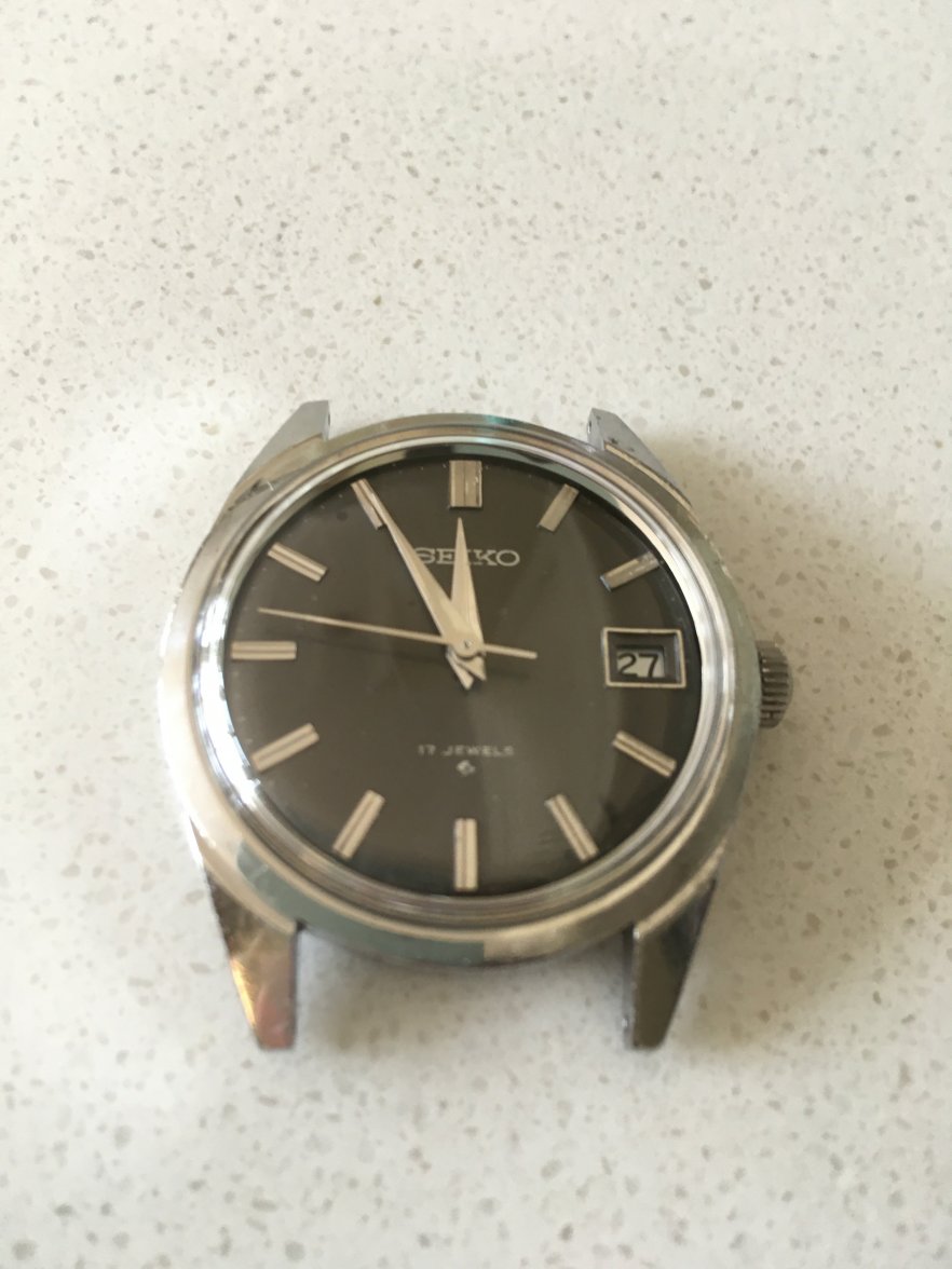 5590706A-302D-4940-B41A-3FD79BF81335.jpeg 5590706A-302D-4940-B41A-3FD79BF81335.jpeg