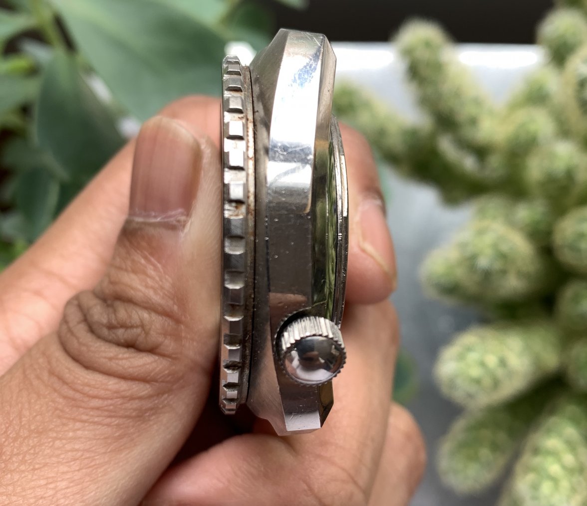 IMG_3376.jpg IMG_3376.jpg