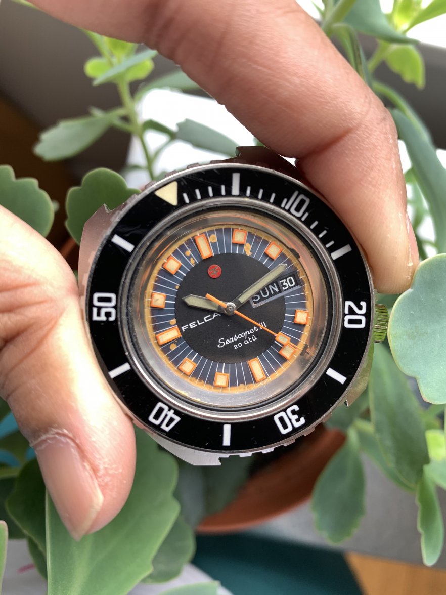 IMG_3379.jpg IMG_3379.jpg