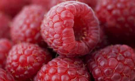 raspberries.jpg