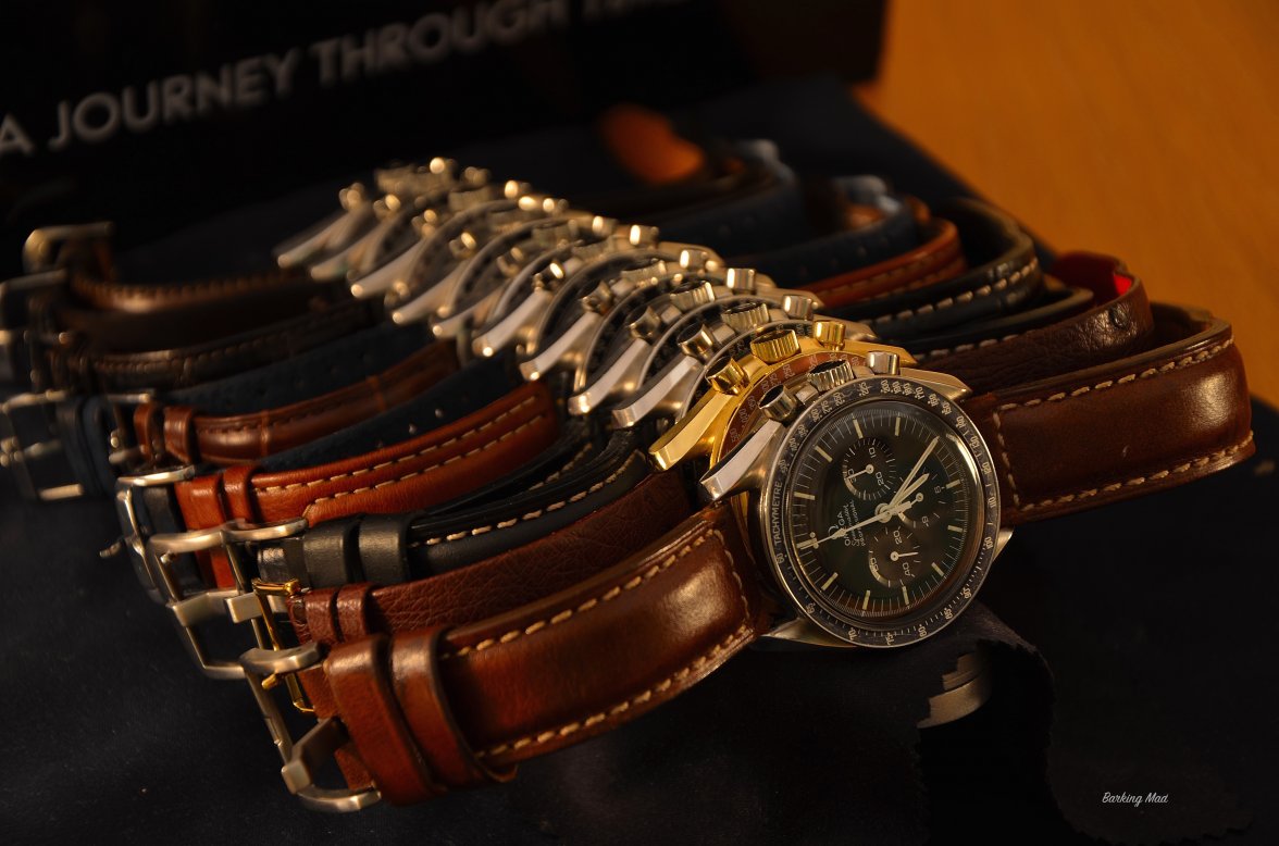 DSC_7185.JPG DSC_7185.JPG