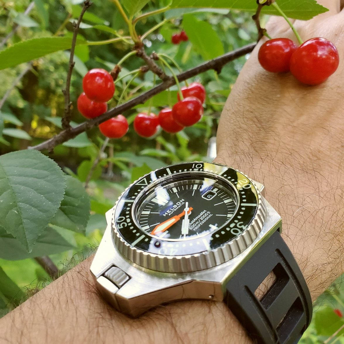 SH600 ws 2b 20200706_074642.jpg