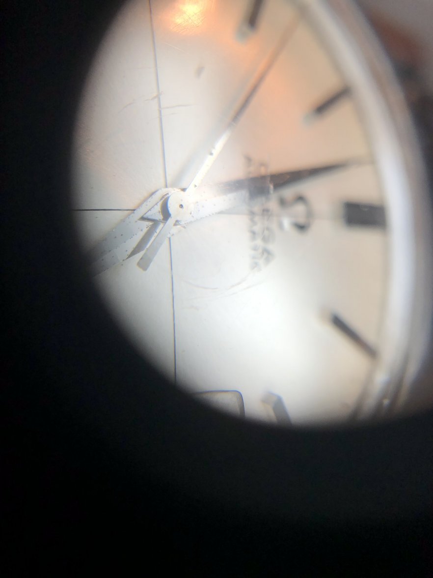 IMG_1886.jpg IMG_1886.jpg