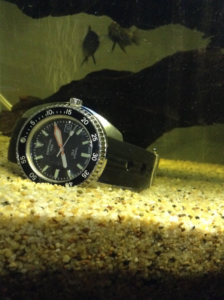 0BB5BBB8-7598-4A5B-BD85-347E95A08F7C.jpeg 0BB5BBB8-7598-4A5B-BD85-347E95A08F7C.jpeg