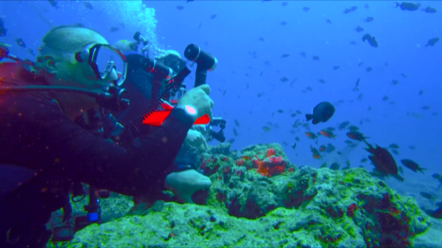 Me at The Cathedral.png Me at The Cathedral.png