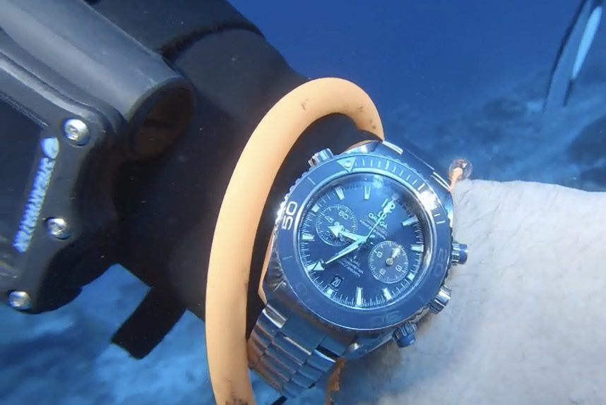 SMPO at Palau at depth.jpeg SMPO at Palau at depth.jpeg