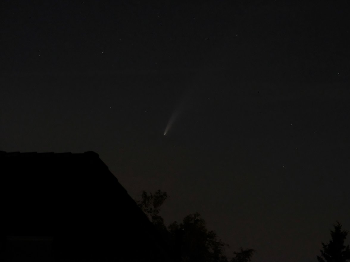 neowise_3.jpg