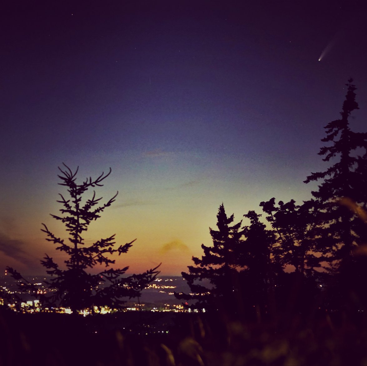 D675F7D4-1CE6-4F68-AE60-EE3E55B72AE8.jpeg