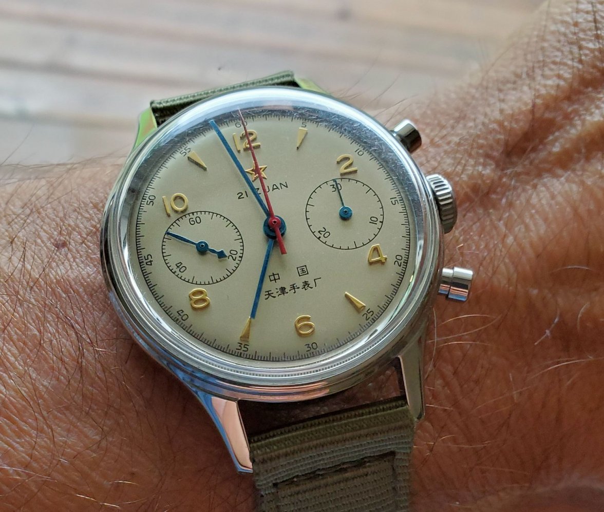 Seagull ws 1 20200716_065753.jpg