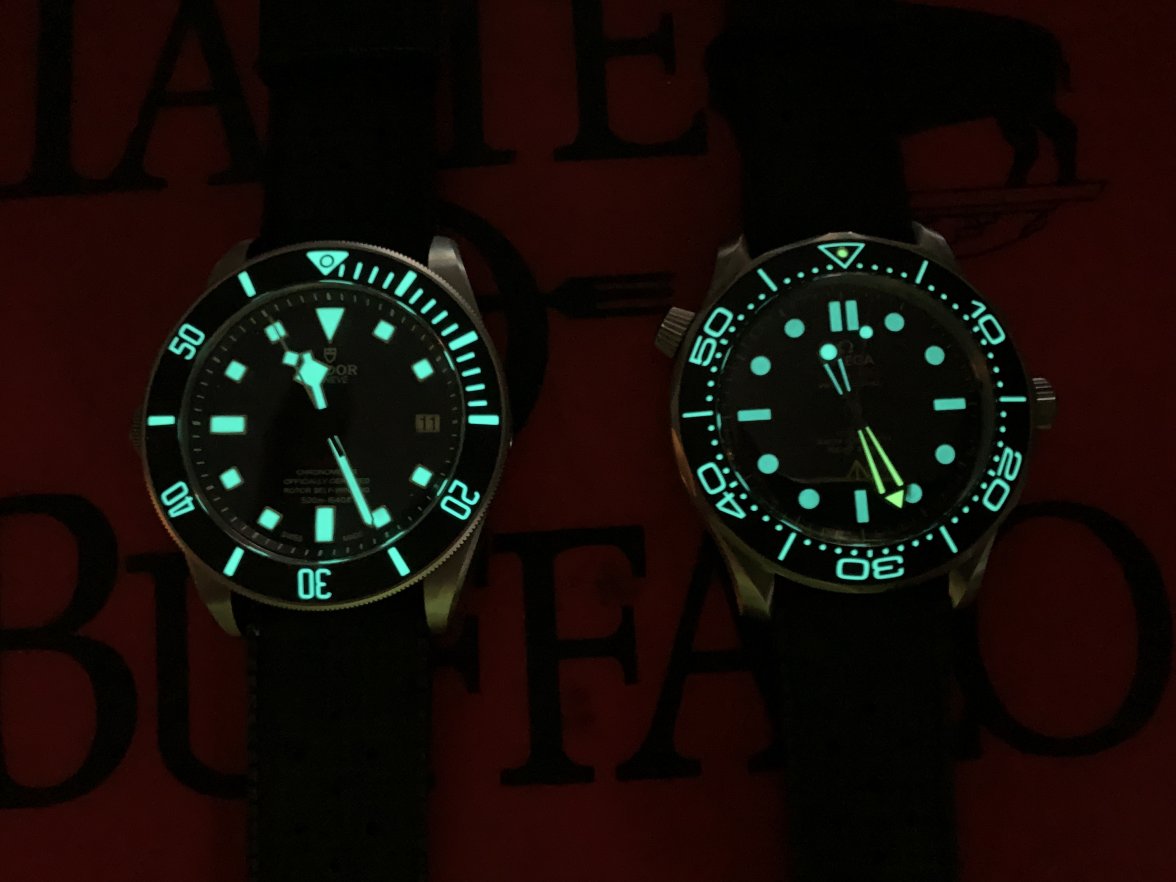 NTTD Pelagos lume.JPG