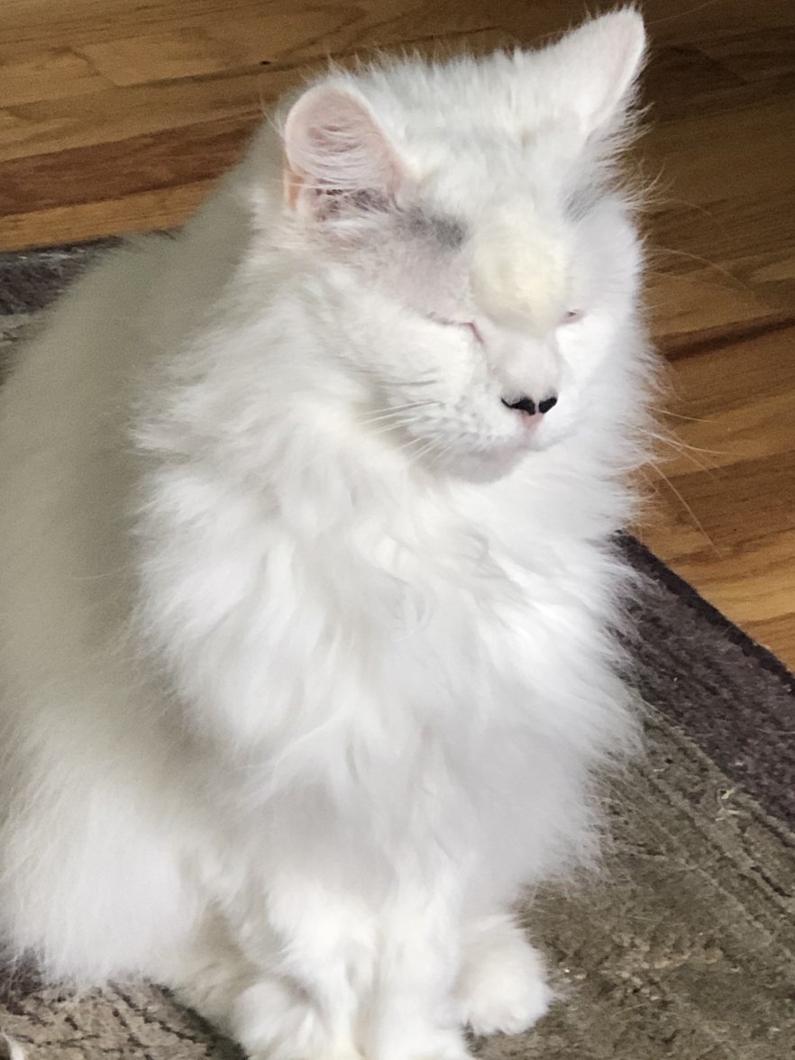 5DB7DBE9-A8DC-4A32-98CD-AE8AEAFC8718.jpeg 5DB7DBE9-A8DC-4A32-98CD-AE8AEAFC8718.jpeg