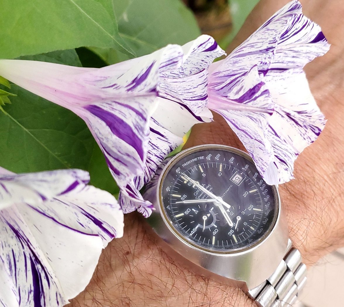 Mark III ws 1 20200719_065240.jpg