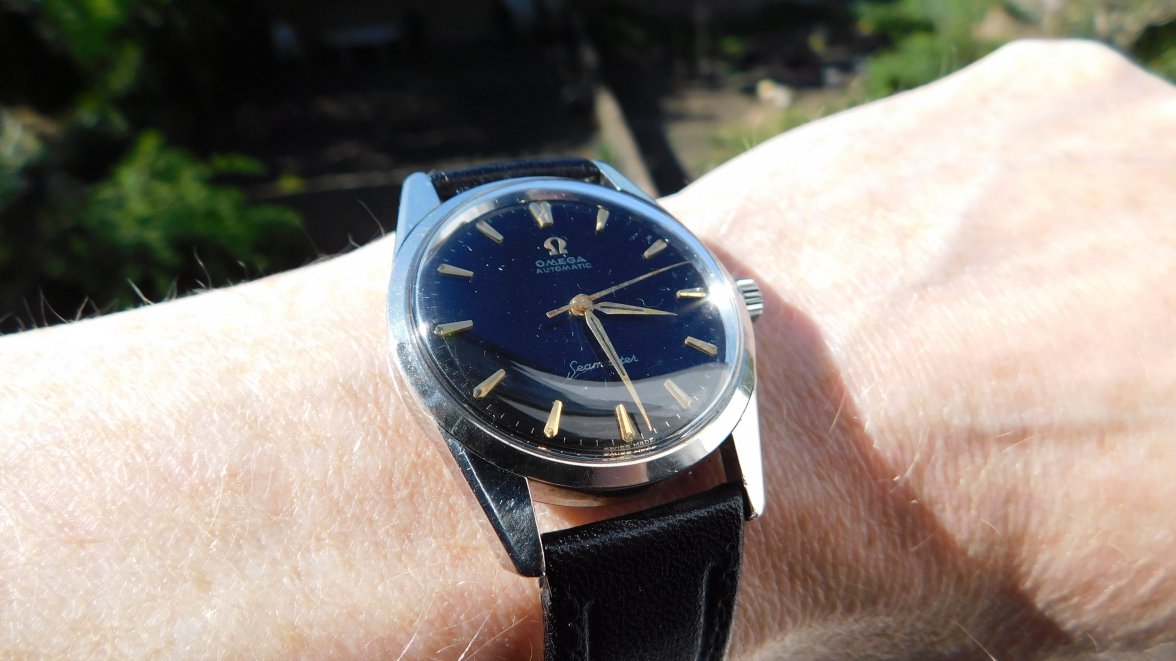 DSCN3784.jpg DSCN3784.jpg