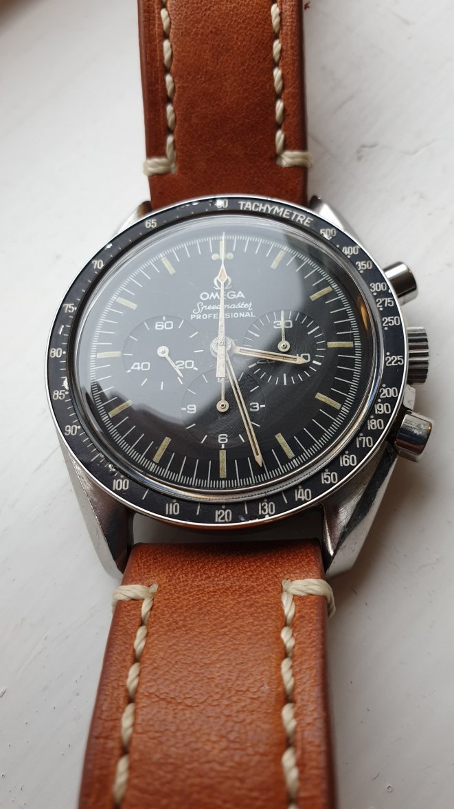 Speedie.jpg Speedie.jpg