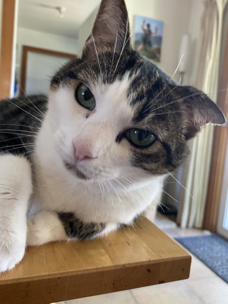 153539AE-E33E-4C15-AEFF-C57B8D5768BC.jpeg 153539AE-E33E-4C15-AEFF-C57B8D5768BC.jpeg