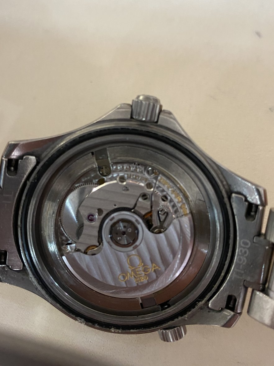 514DFE0D-0733-4998-98C9-8753A34F0E47.jpeg 514DFE0D-0733-4998-98C9-8753A34F0E47.jpeg