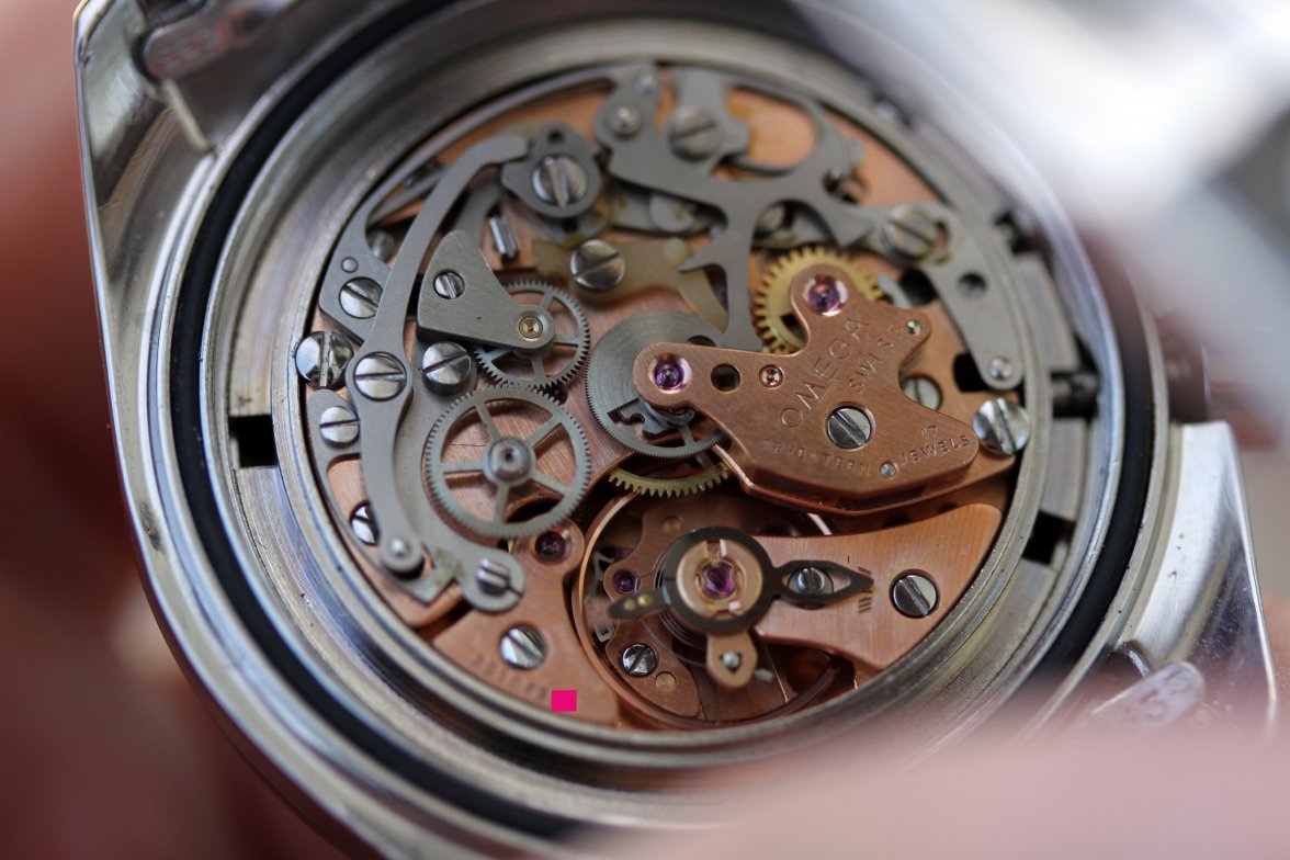 IMG_5699.JPG IMG_5699.JPG