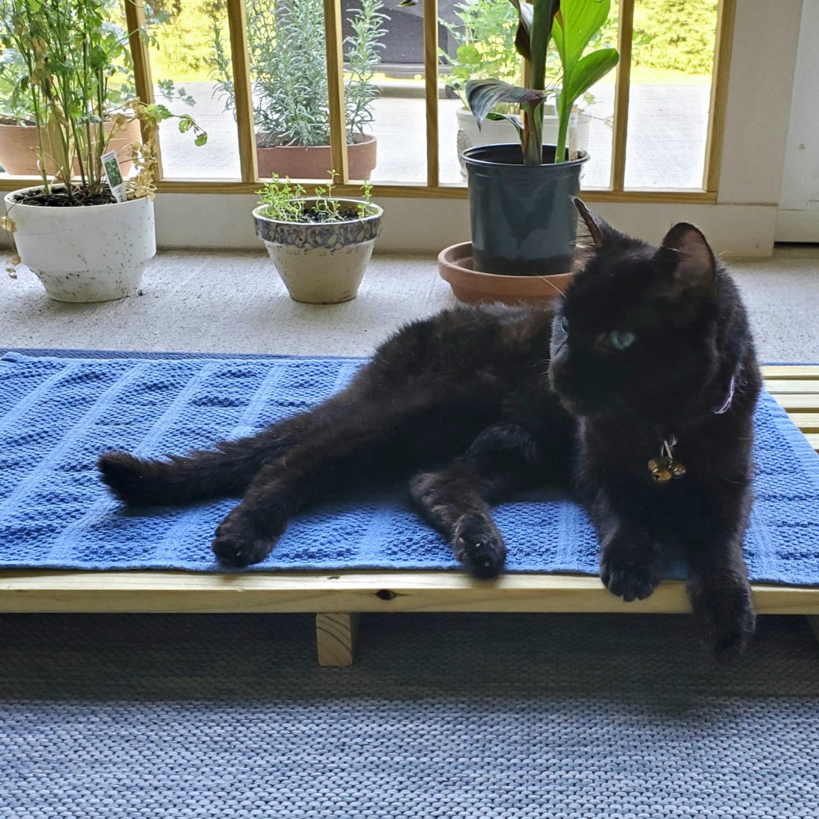 20200704_075228.jpg 20200704_075228.jpg