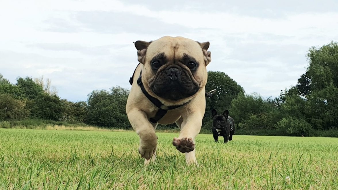 WhatsApp Image 2020-07-26 at 20.11.22.jpeg