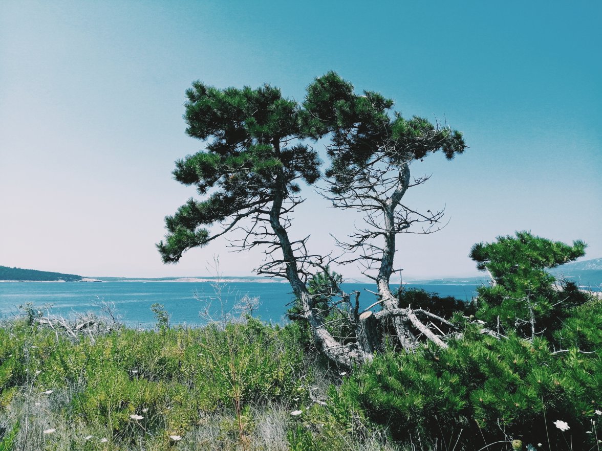 2020-07-30 03.05.25 1.jpg