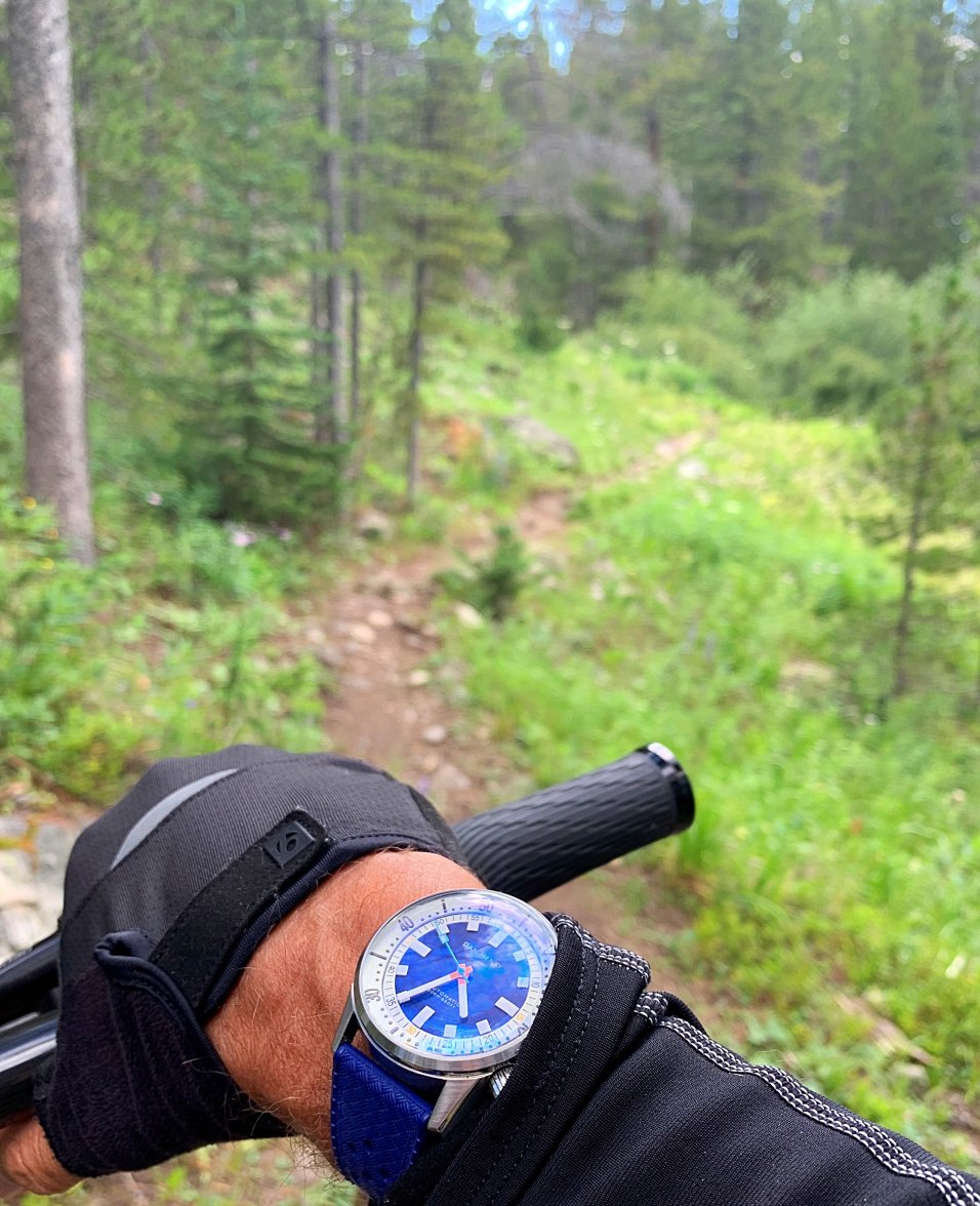 AC5474FE-E597-4541-95A9-9C59F710810B.jpeg AC5474FE-E597-4541-95A9-9C59F710810B.jpeg