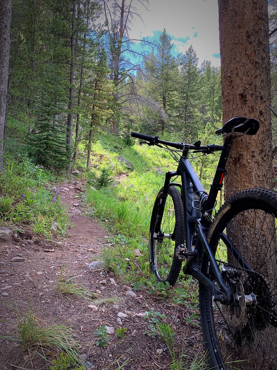 E61C72F1-6DE9-4D32-9073-D49EA749736C.jpeg E61C72F1-6DE9-4D32-9073-D49EA749736C.jpeg