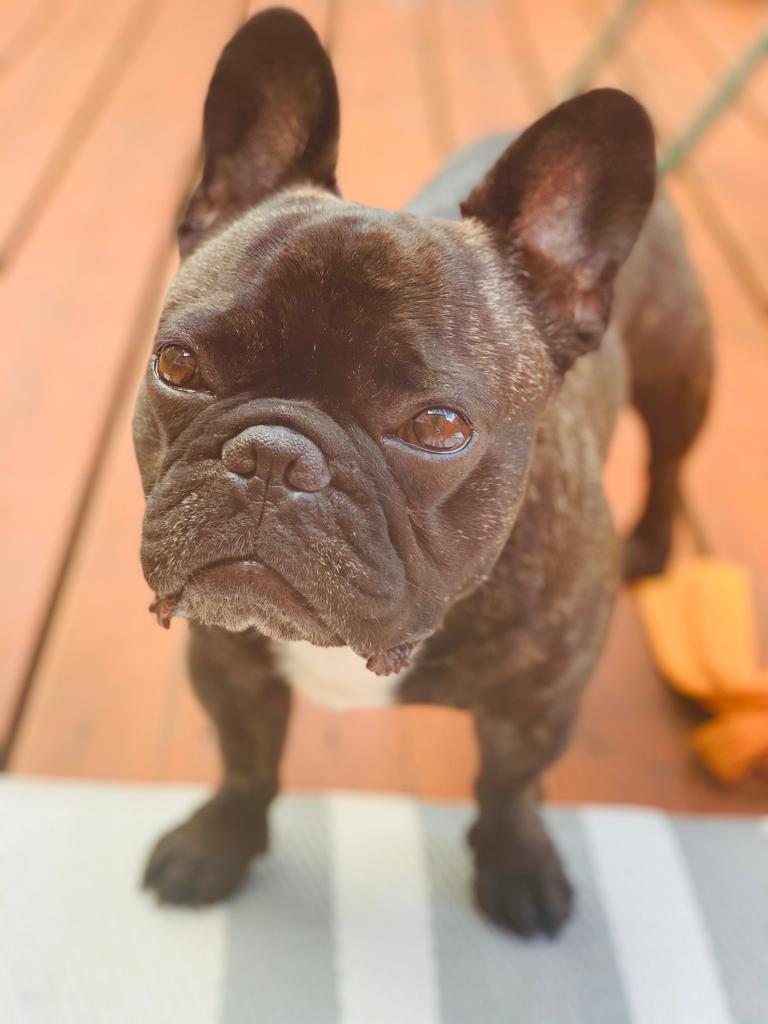 WhatsApp Image 2020-08-01 at 16.22.00.jpeg