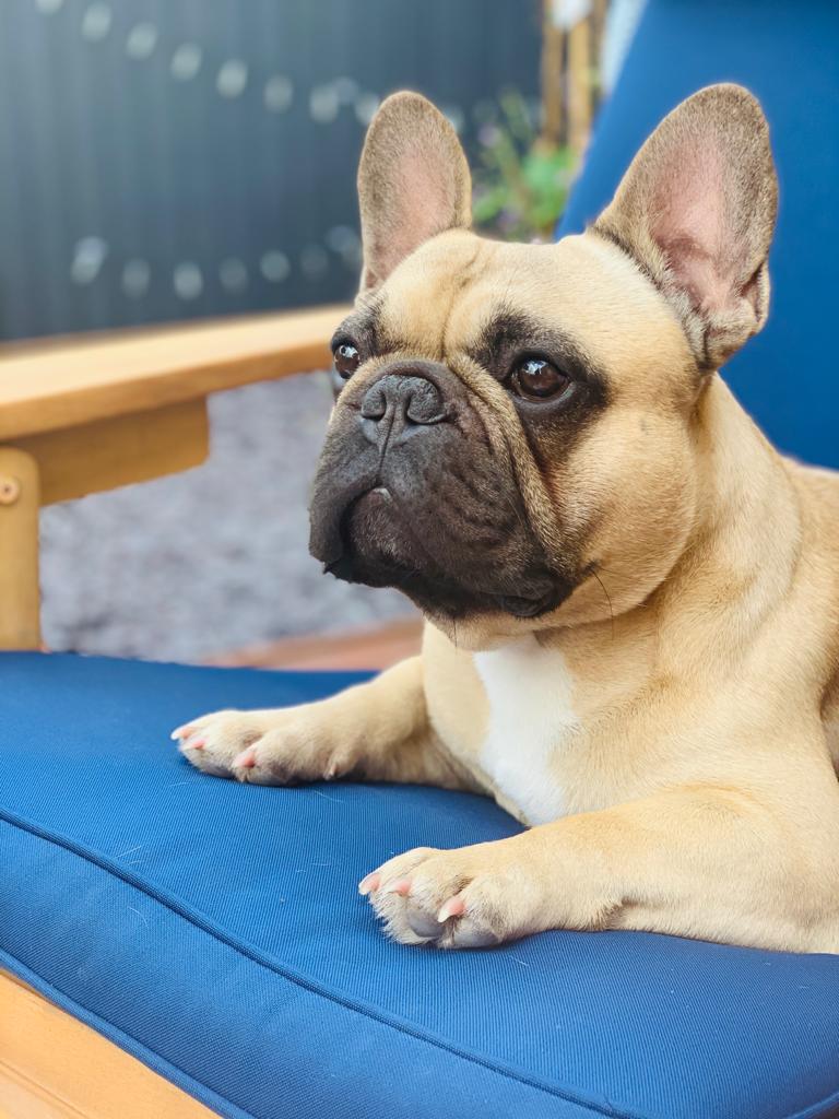 WhatsApp Image 2020-08-01 at 17.31.00.jpeg