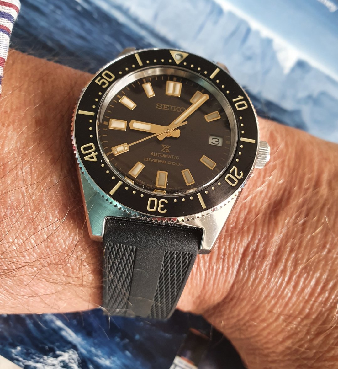 20200803_090707.jpg 20200803_090707.jpg