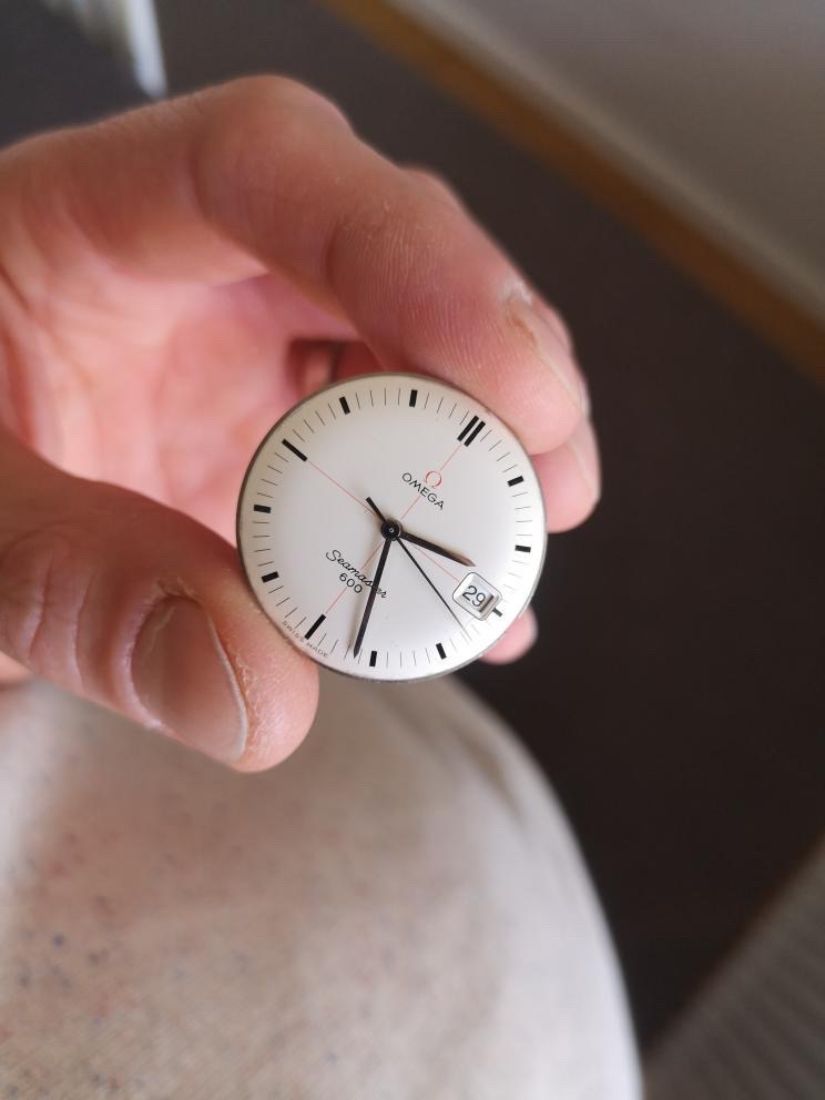 062F35AC-352D-411B-98F4-C8A45E310CF7.jpeg 062F35AC-352D-411B-98F4-C8A45E310CF7.jpeg