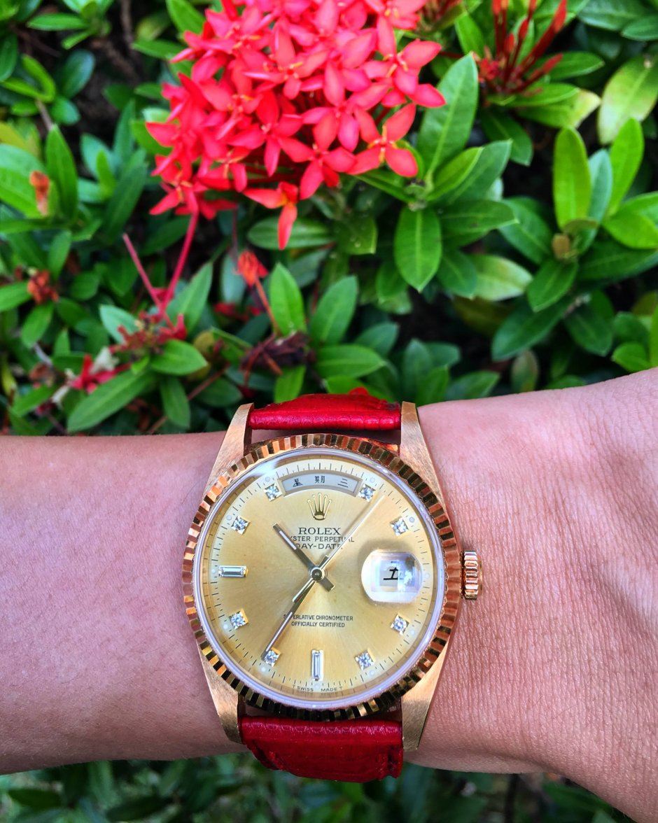 F556D405-C855-4CA4-904C-BE08FCAAF7F0 (1).jpg