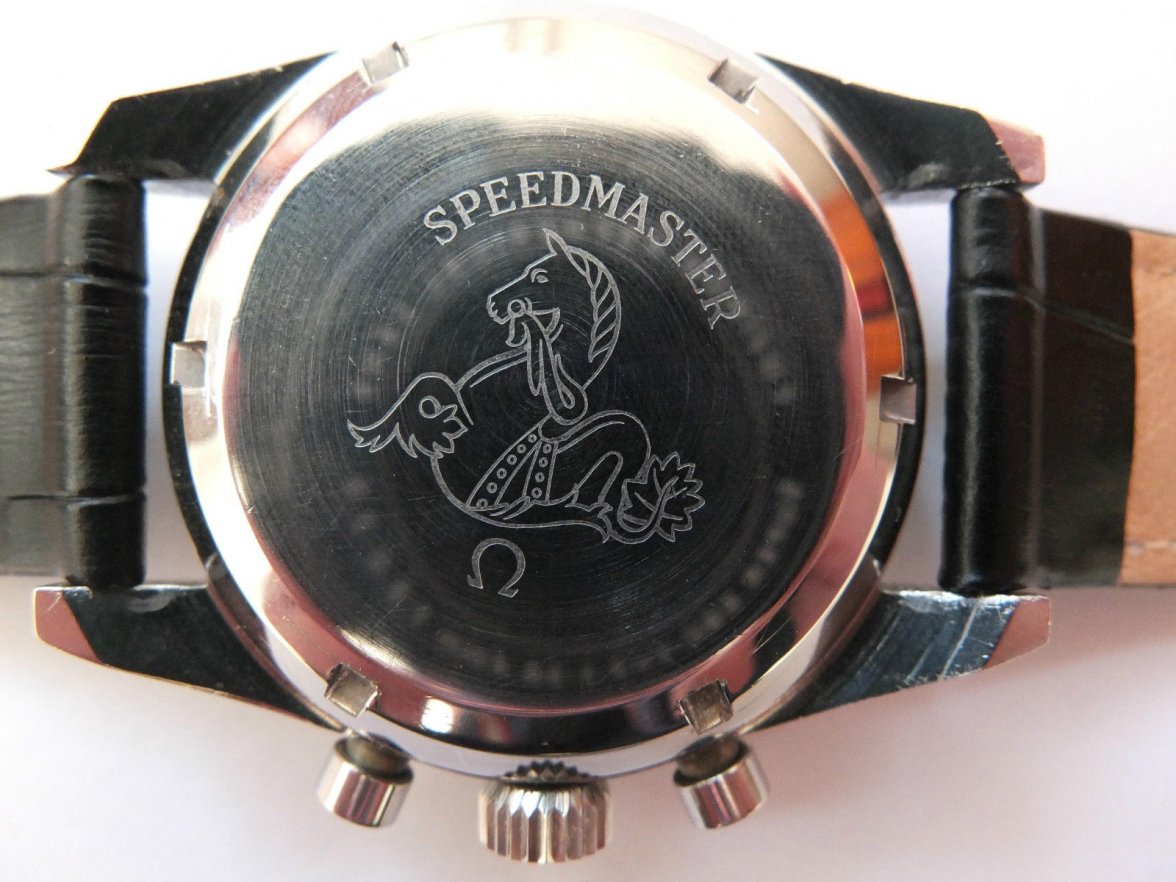 speedy back case.JPG