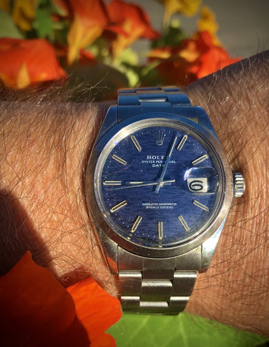 22A609B1-6590-4887-AE56-D5CDEC54D313.jpeg 22A609B1-6590-4887-AE56-D5CDEC54D313.jpeg