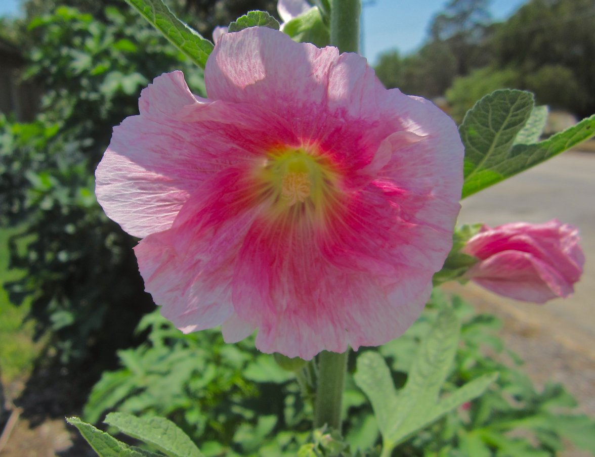 IMG_7194.jpg IMG_7194.jpg