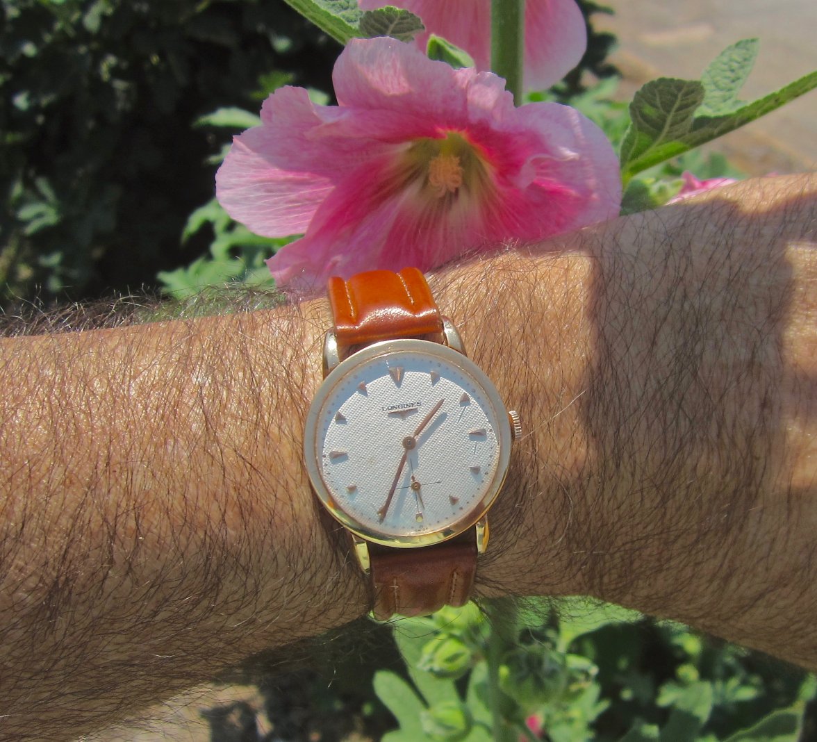 IMG_7196.jpg IMG_7196.jpg