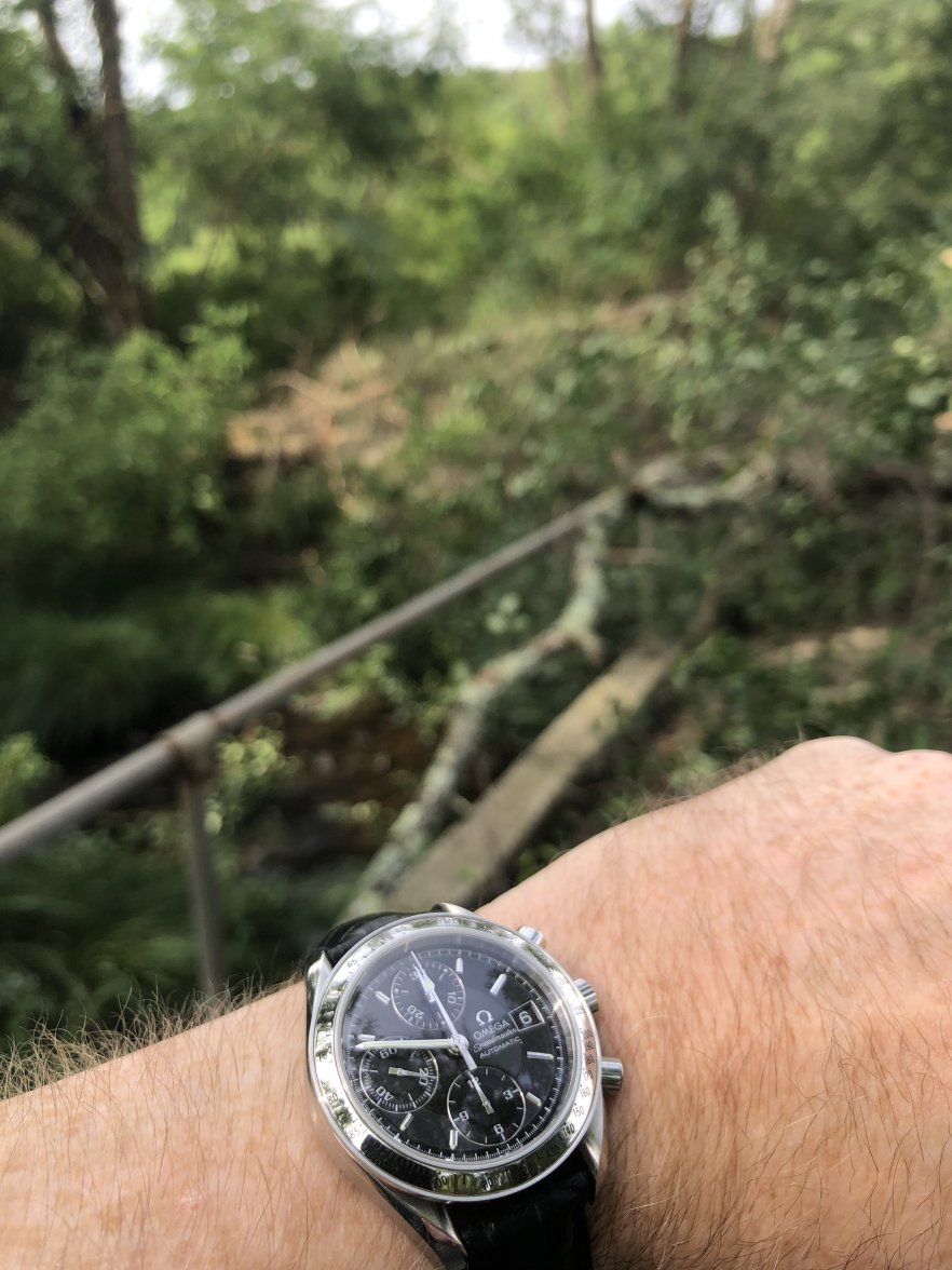 9CA50BA3-6294-445F-AE08-E74CEA6F1578.jpeg 9CA50BA3-6294-445F-AE08-E74CEA6F1578.jpeg