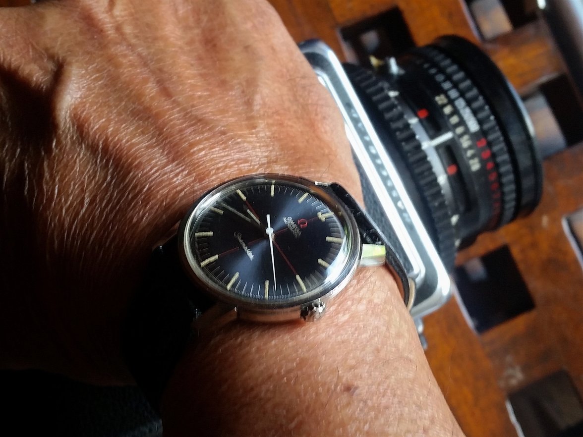 Black Companion No Date 3.jpeg