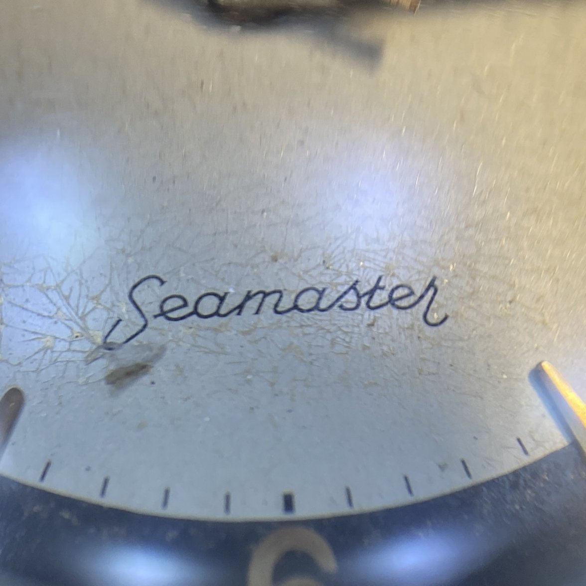 2020-08-12 19.38.34-1.jpg 2020-08-12 19.38.34-1.jpg