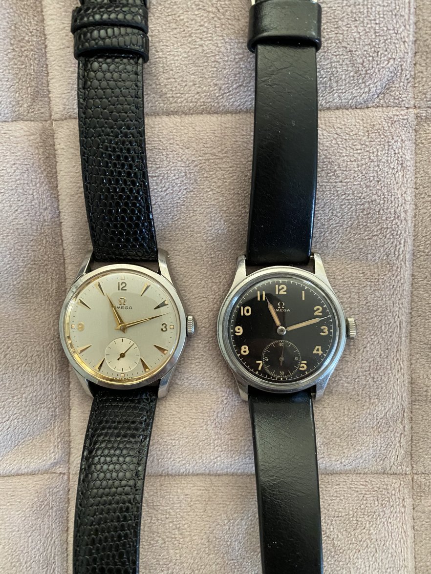 F954E288-7438-43D1-BF65-F60AC35E33C4.jpeg F954E288-7438-43D1-BF65-F60AC35E33C4.jpeg