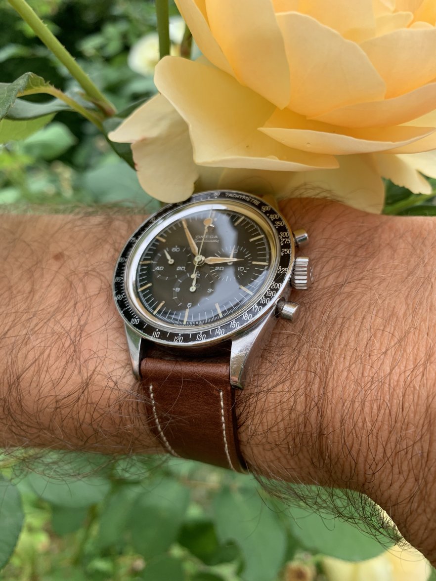 DA6836EF-C783-4070-A64B-481C3B442210.jpeg DA6836EF-C783-4070-A64B-481C3B442210.jpeg