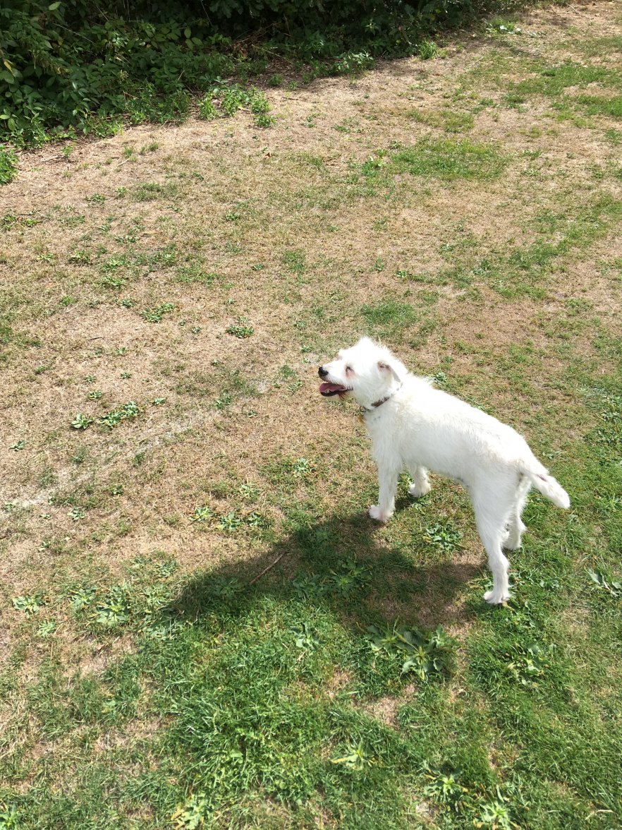 7EB2625D-8F3F-4AC7-A48B-B9A90F87CB7F.jpeg 7EB2625D-8F3F-4AC7-A48B-B9A90F87CB7F.jpeg