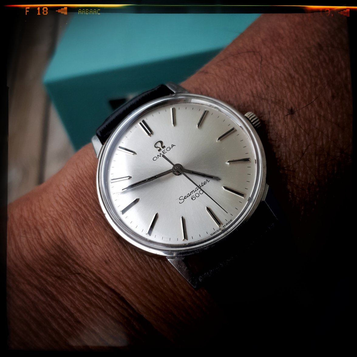 Omega Seamaster 600 photo #2.jpeg