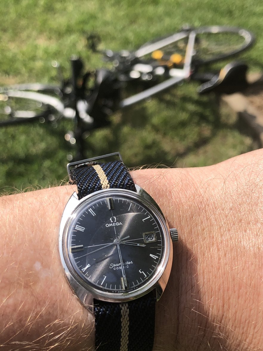 E3B164F4-486A-457B-8FCC-267336F00C98.jpeg E3B164F4-486A-457B-8FCC-267336F00C98.jpeg