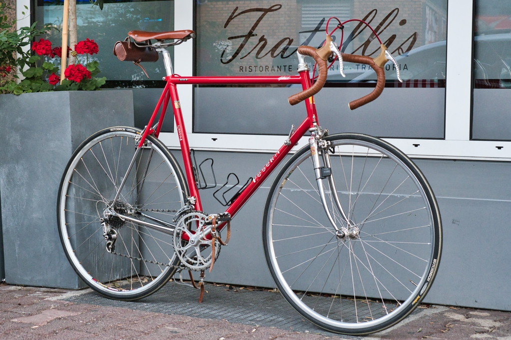 DSC_1481_red.jpg DSC_1481_red.jpg