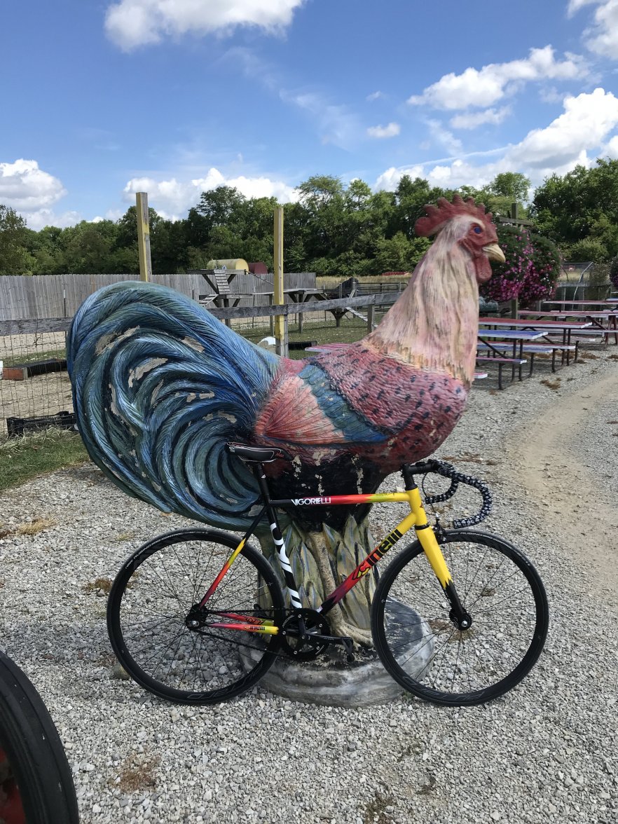 1A852B36-B40D-4CC1-9A1B-00E77256548A.jpeg 1A852B36-B40D-4CC1-9A1B-00E77256548A.jpeg